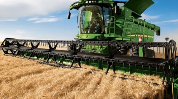  Egiptul a cumpărat 120.000 de tone de grâu din România. Află prețul