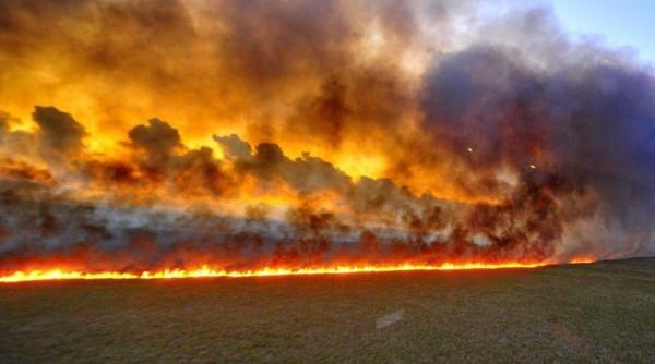 Incendiile din Australia. Așa va arăta viitorul. Tablou sinistru