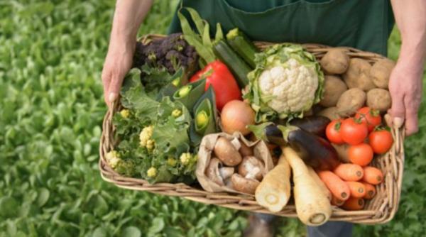 Exporturile Olandei au atins un nou maxim istoric în 2019