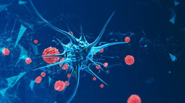 Noul coronavirus. Experții chinezi au identificat sursa