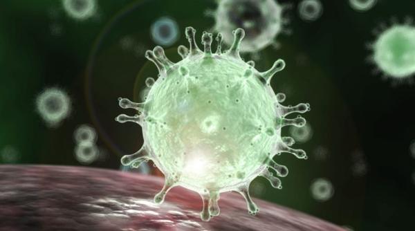 Hong Kong are deja un vaccin împotriva noului coronavirus