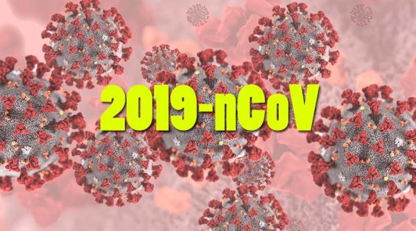 Numărul morților din cauza noului coronavirus a ajuns la 610