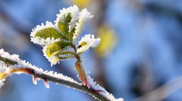 Prognoză meteo. Vreme geroasă în aproape toată țara