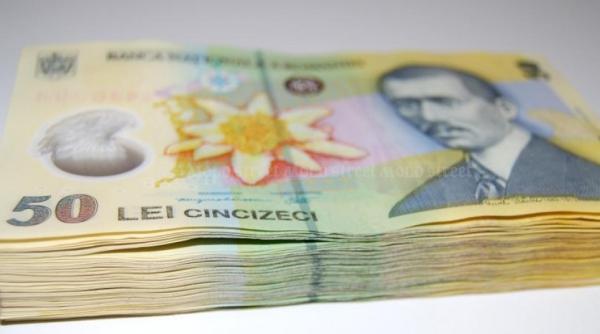 Analiză. Care sunt factorii fundamentali din spatele prăbușirii leului