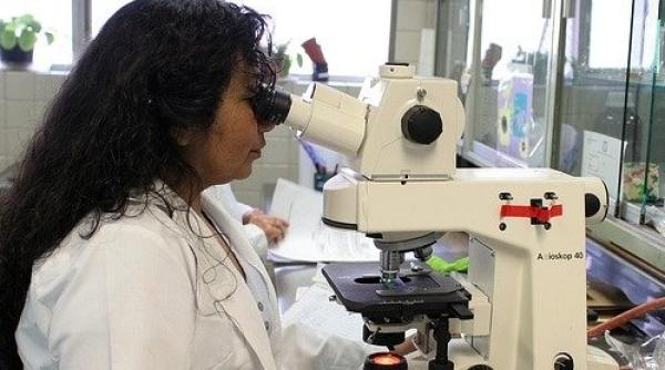 SUA, pregătite să recolteze ADN-ul tuturor migranţilor reţinuţi