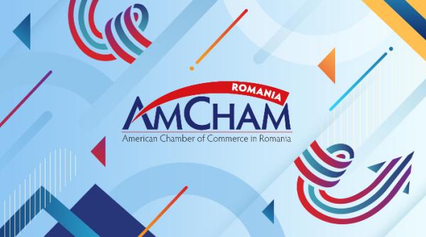 AmCham cere amânarea termenelor de depunere a raportărilor financiare 