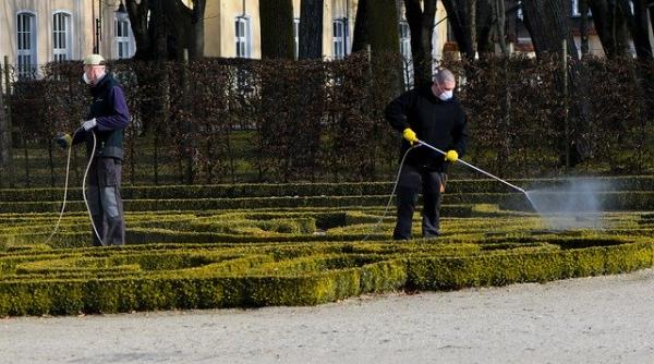 Coronavirus. Ce face covid-19 când afară plouă. Răspunsul chinezilor