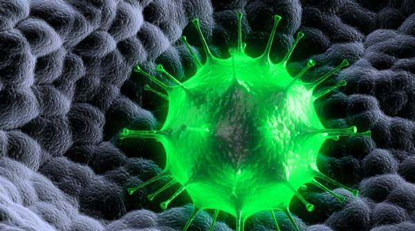 Coronavirus ar putea deveni sezonier? Un expert american explică