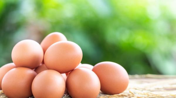 Prețul la ouă a explodat în SUA! A atins nivelul istoric