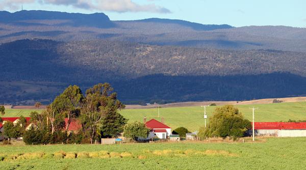 AFIR va aviza online dosarele de achiziţii publice pentru investiţii, derulate de autorităţile locale
