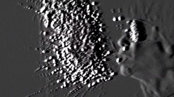 Covid-19. O nouă sursă de infectare? Studiu INCREDIBIL realizat în Japonia VIDEO