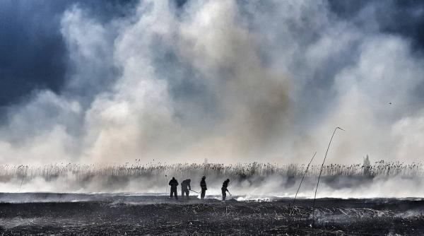 Dosar penal și amendă pentru proprietarul fermei care a ars în Periș