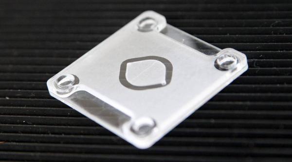 Covid-19. Rușii au dezvoltat două noi teste. Unul dă rezultatul în 15 minute