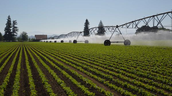 Adrian Oroș a făcut precizări legate de lucrările făcute la sistemul de irigații