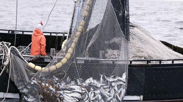 Guvernul subvenționează acciza la motorină pentru acvacultură