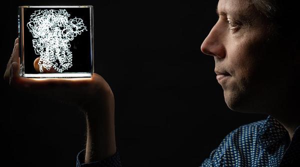 A fost obținut un anticorp eficient împotriva Covid-19