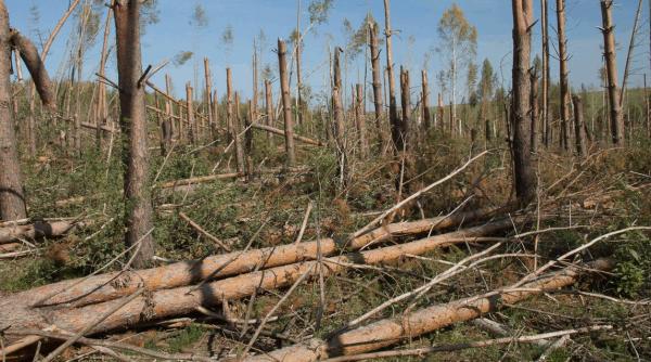 Meteoritul de la Tunguska nu a fost meteorit! Dar nici OZN