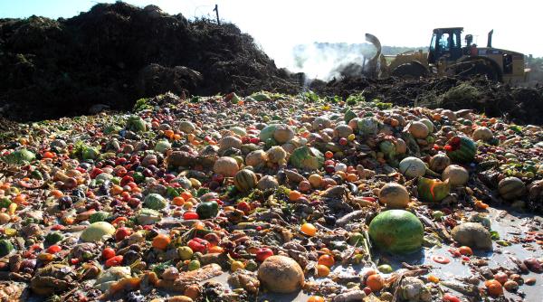 Rezervele excesive de mâncare creează o nouă problemă