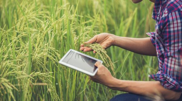 Comisia Europeană crește bugetul alocat Politicii Agricole Comune