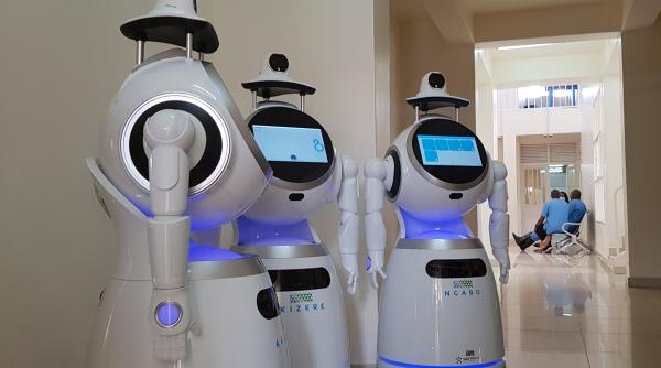 INVENȚIE NEOBIȘNUITĂ! Cercetătorii danezi au dezvoltat un robot WOW