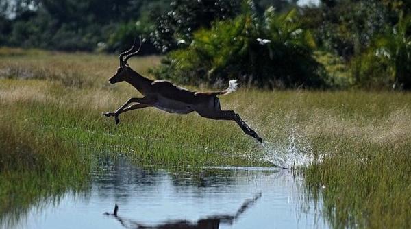 Covid-19. De ce o nouă PANDEMIE este iminentă