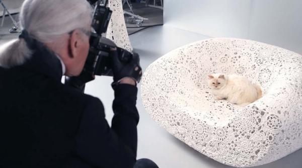 Cine moștenește averea lui Karl Lagerfeld. Pisica acestuia, printre candidați