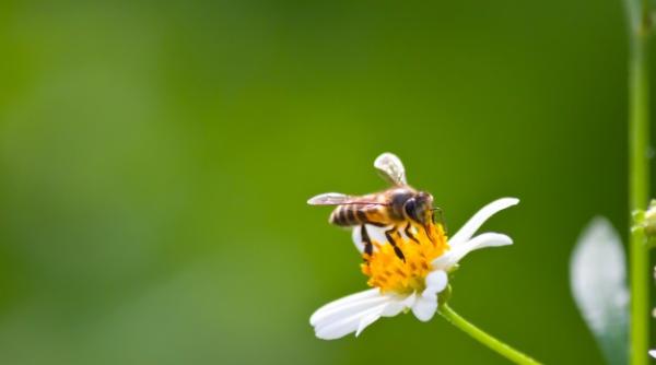 Stare de DEZASTRU natural în Croația! Motivul este IREAL
