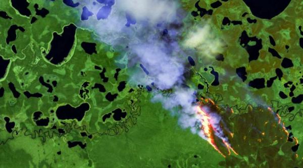 Siberia fierbe la 38 de grade, la Cercul Polar