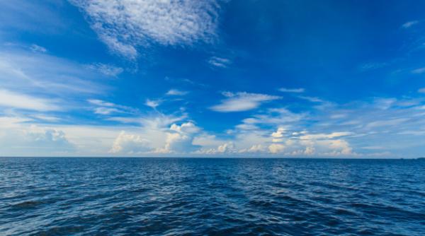 Daune ireversibile. Viața marină din jurul Europei, în PERICOL