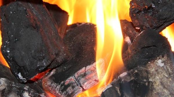 Energiile regenerabile au un potenţial enorm, pot înlocui cărbunele