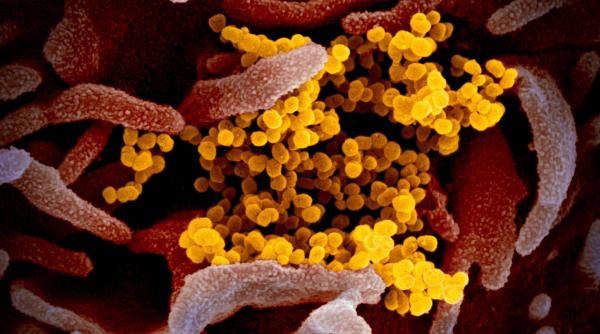 Covid-19. Vaccinul Moderna, în linie dreaptă. Ultima etapă a testărilor, începe