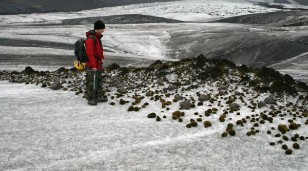 Bile enigmatice de mușchi cutreieră ghețarii