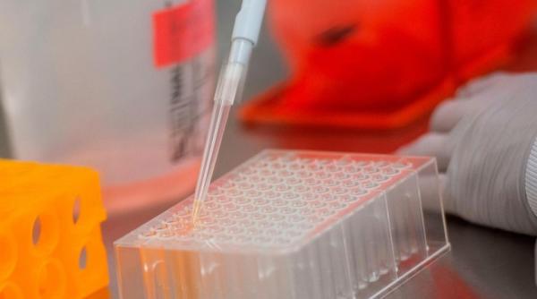 Coronavirus. București, lider la numărul de cazuri noi