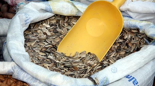 Coronavirus. INTERZIS într-un oraș din Spania! Decizia primarului