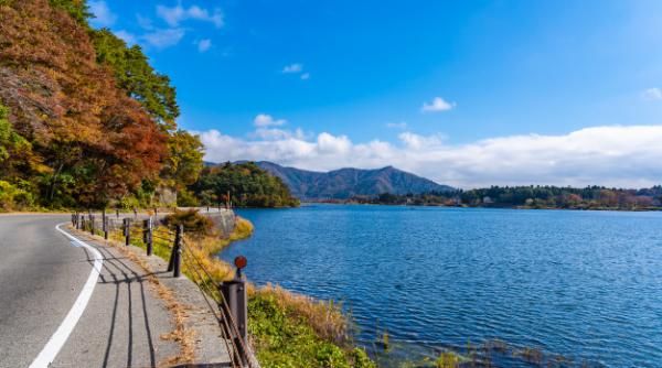 Anotimpurile NU au impact asupra pandemiei. Care sunt cauzele