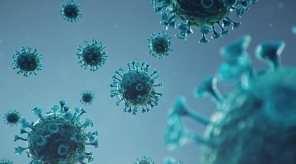 Impactul pandemiei se va resimți mult timp (OMS)