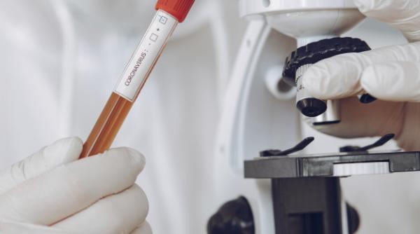 Ungaria: Teste PCR pe cheltuiala proprie sau carantină la intrarea în țară