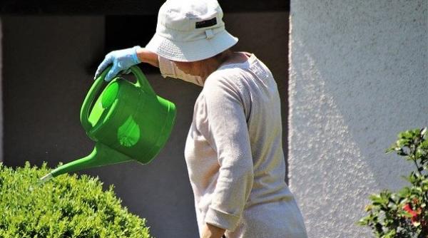 PENSIILE vor crește! Violeta Alexandru vine cu ultimele CLARIFICĂRI