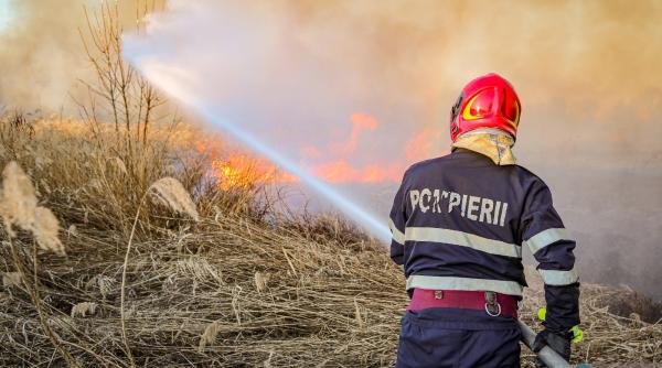 Incendiu puternic lângă București, la o fermă de porci