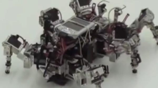 Cercetătorii din Statele Unite au inventat ROBOȚII MICROSCOPICI