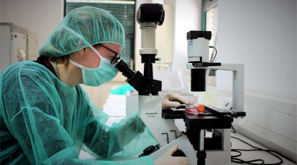 Covid-19. Tratamentul, aproape de realizare. Cercetătorii germani, optimiști