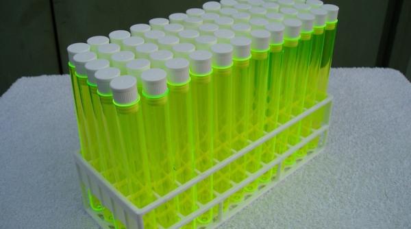 Ce este neurotoxina Noviciok. Ce simptome provoacă și care sunt efectele