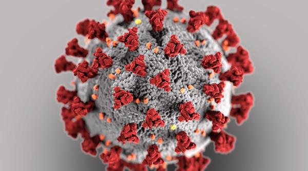 COVID-19. Descoperire revoluționară. A fost găsit super-anticorpul care oprește virusul