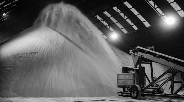 Producția europeană de zahăr, afectată grav de secetă