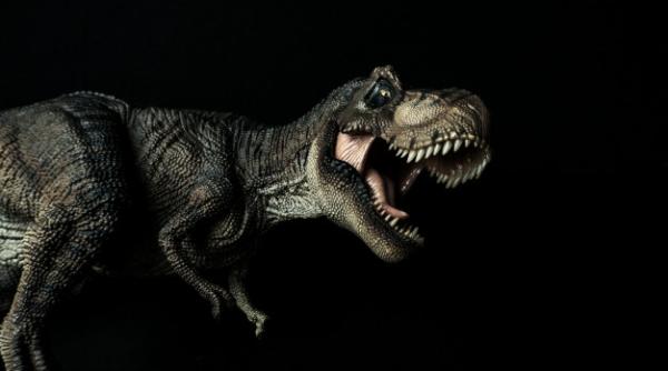Scheletul unui T-Rex a fost scos la licitație! Suma este COLOSALĂ