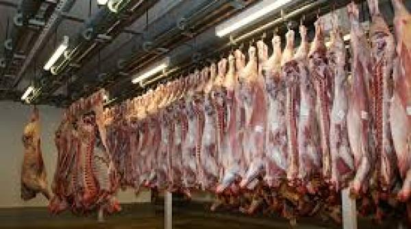 Trafic de muncitori ilegali în Germania