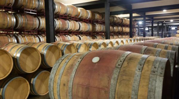 Cramă legendară a României, scoasă la licitație