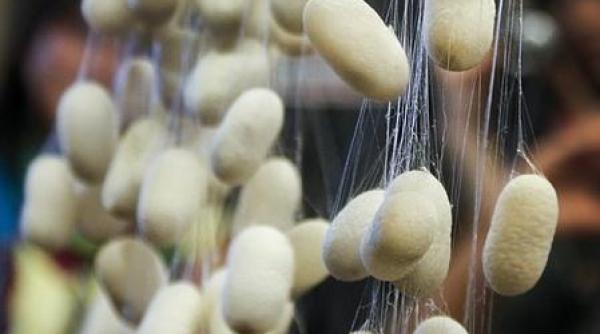 Materialul IDEAL pentru confecționarea MĂȘTILOR. Specialiștii au DECIS