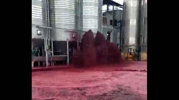 50.000 de litri de vin, duși pe Apa Sâmbetei VIDEO