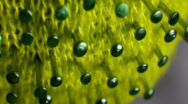 COVID-19. Descoperire ODIOASĂ. Experții britanici sunt îngroziți